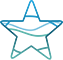 Wireframe AVA Star